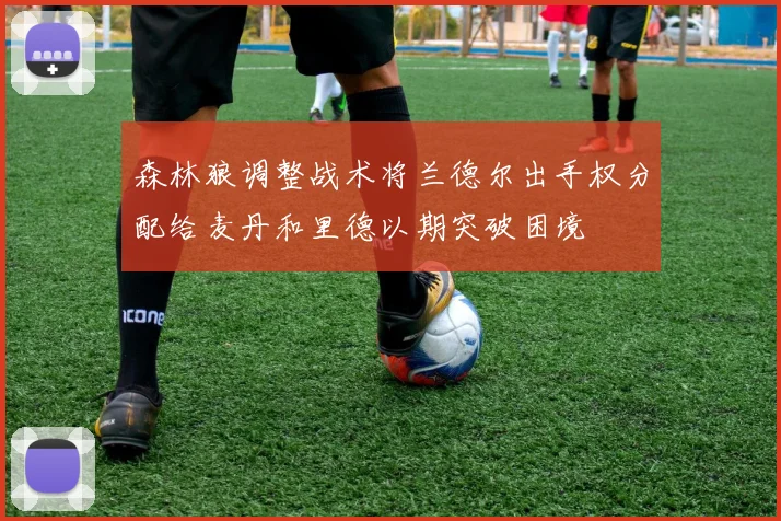 森林狼调整战术将兰德尔出手权分配给麦丹和里德以期突破困境